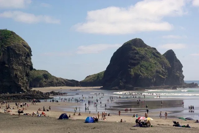 West Wilderness: Black Sand Piha Beach & Kite Kite Falls